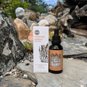 Cordyceps militaris Tinktura